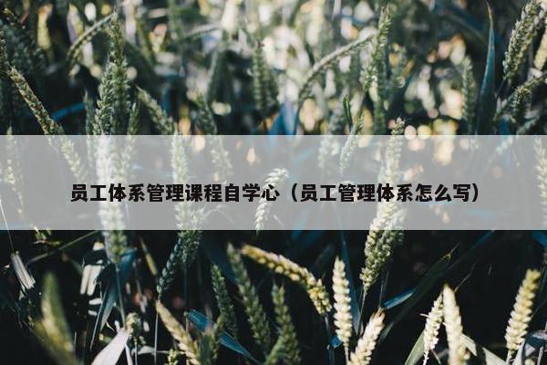 员工体系管理课程自学心（员工管理体系怎么写）