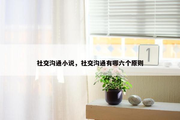 社交沟通小说，社交沟通有哪六个原则