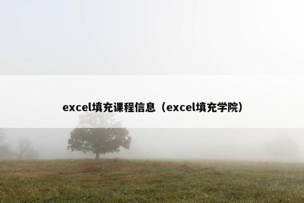 excel填充课程信息（excel填充学院）