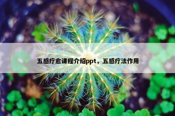 五感疗愈课程介绍ppt，五感疗法作用