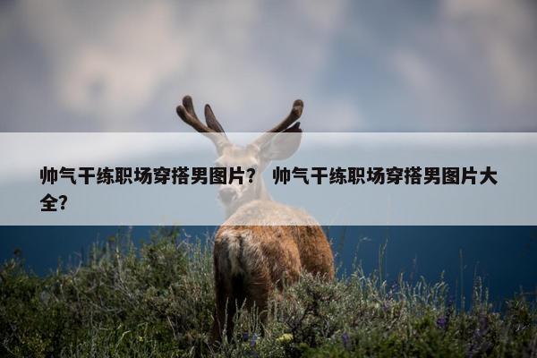 帅气干练职场穿搭男图片？ 帅气干练职场穿搭男图片大全？