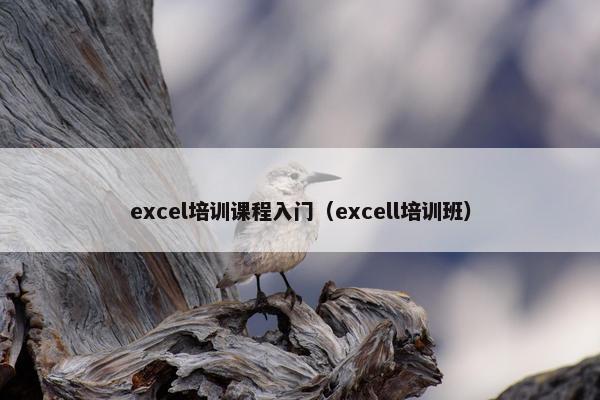 excel培训课程入门（excell培训班）