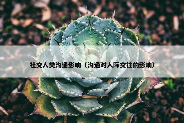 社交人类沟通影响（沟通对人际交往的影响）