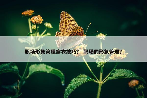 职场形象管理穿衣技巧？ 职场的形象管理？