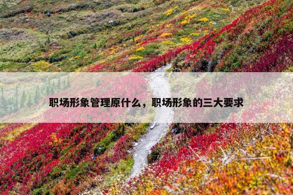 职场形象管理原什么，职场形象的三大要求