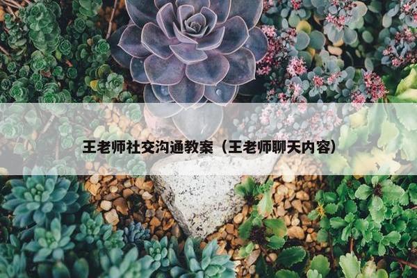 王老师社交沟通教案（王老师聊天内容）