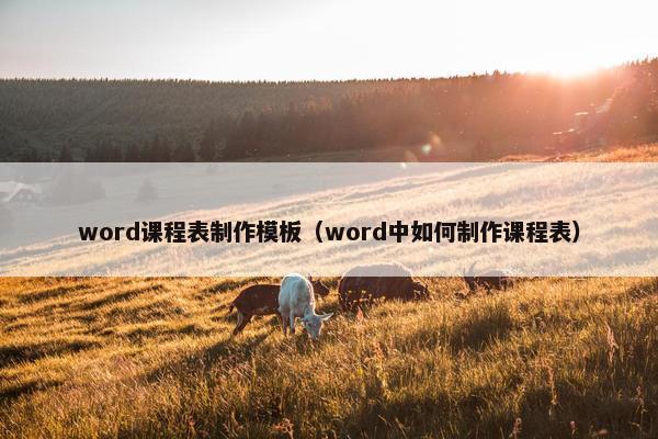word课程表制作模板（word中如何制作课程表）