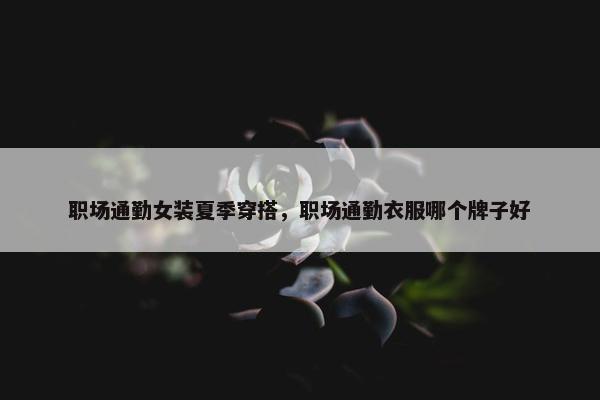 职场通勤女装夏季穿搭，职场通勤衣服哪个牌子好
