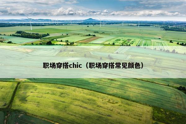 职场穿搭chic（职场穿搭常见颜色）
