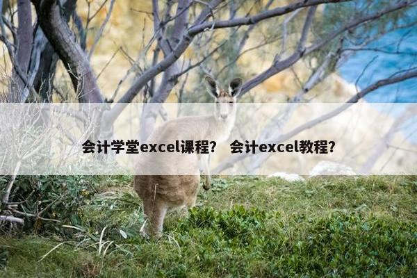 会计学堂excel课程？ 会计excel教程？