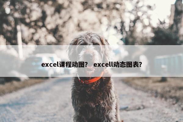 excel课程动图？ excell动态图表？