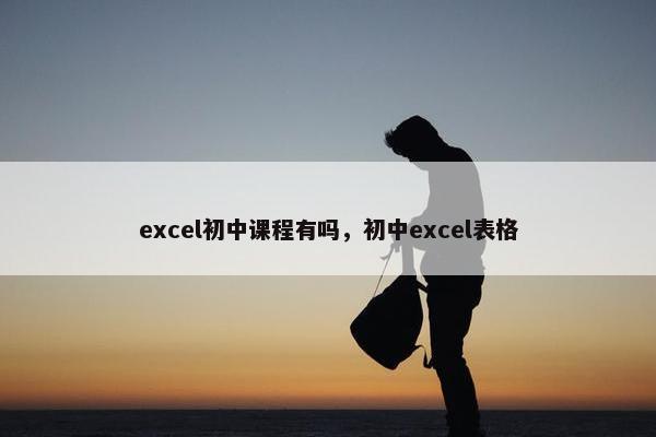 excel初中课程有吗，初中excel表格