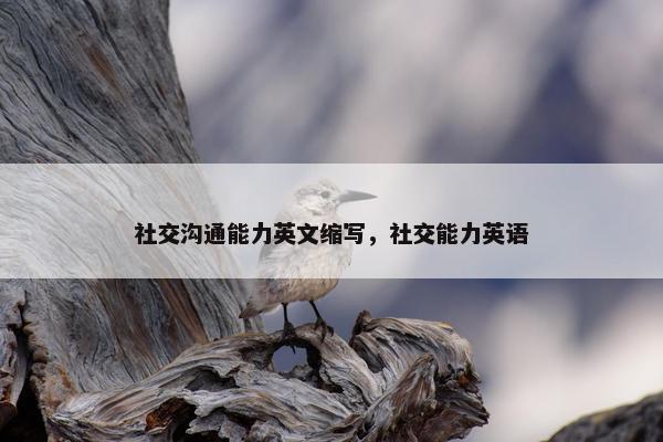 社交沟通能力英文缩写，社交能力英语