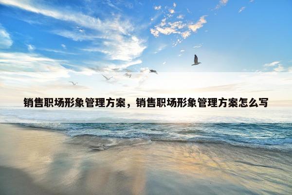 销售职场形象管理方案，销售职场形象管理方案怎么写