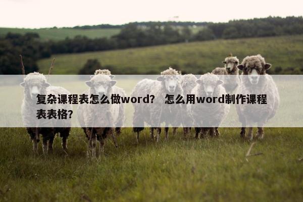 复杂课程表怎么做word？ 怎么用word制作课程表表格？