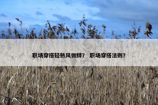 职场穿搭轻熟风微胖？ 职场穿搭法则？