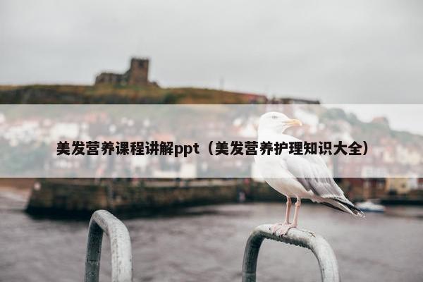 美发营养课程讲解ppt（美发营养护理知识大全）