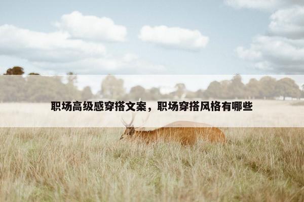 职场高级感穿搭文案，职场穿搭风格有哪些