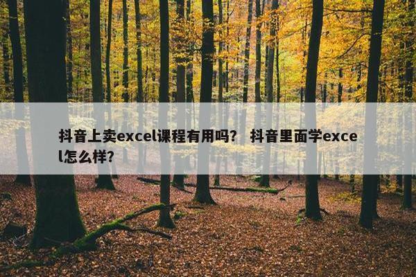 抖音上卖excel课程有用吗？ 抖音里面学excel怎么样？