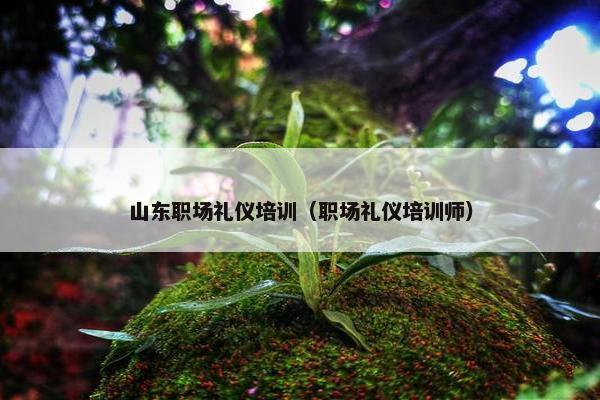 山东职场礼仪培训（职场礼仪培训师）