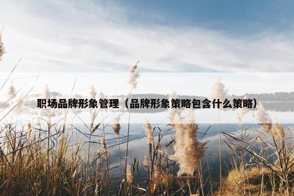 职场品牌形象管理（品牌形象策略包含什么策略）
