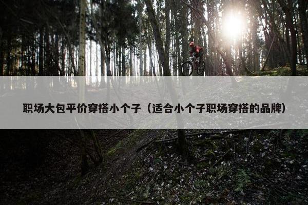 职场大包平价穿搭小个子（适合小个子职场穿搭的品牌）