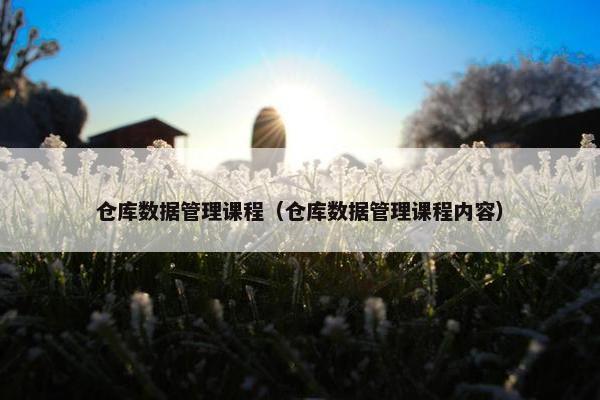 仓库数据管理课程（仓库数据管理课程内容）