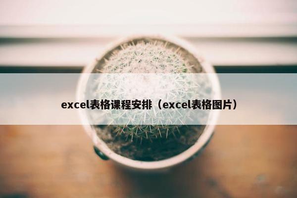 excel表格课程安排（excel表格图片）
