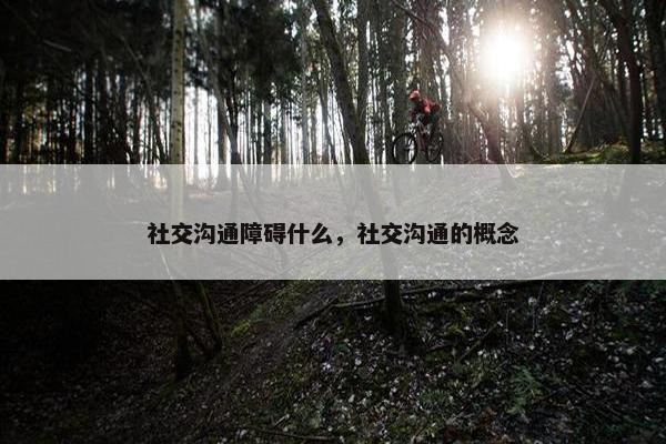 社交沟通障碍什么，社交沟通的概念