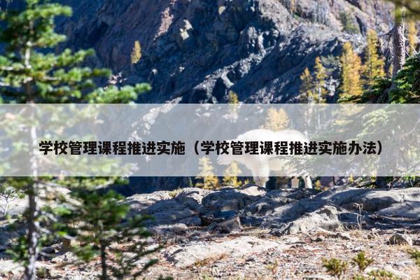 学校管理课程推进实施（学校管理课程推进实施办法）