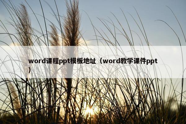 word课程ppt模板地址（word教学课件ppt）