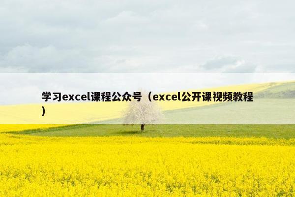 学习excel课程公众号（excel公开课视频教程）