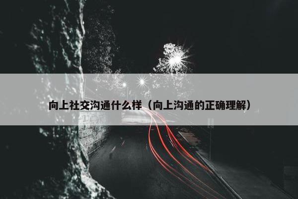 向上社交沟通什么样（向上沟通的正确理解）