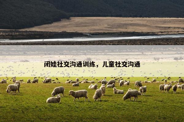 闭娃社交沟通训练，儿童社交沟通