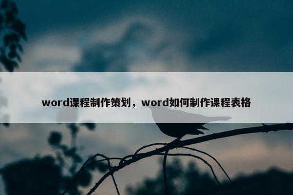 word课程制作策划，word如何制作课程表格