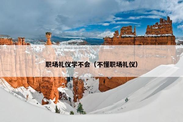职场礼仪学不会（不懂职场礼仪）