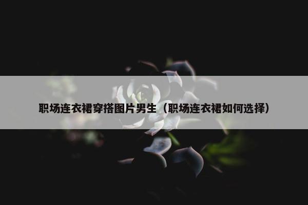 职场连衣裙穿搭图片男生（职场连衣裙如何选择）