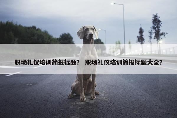 职场礼仪培训简报标题？ 职场礼仪培训简报标题大全？
