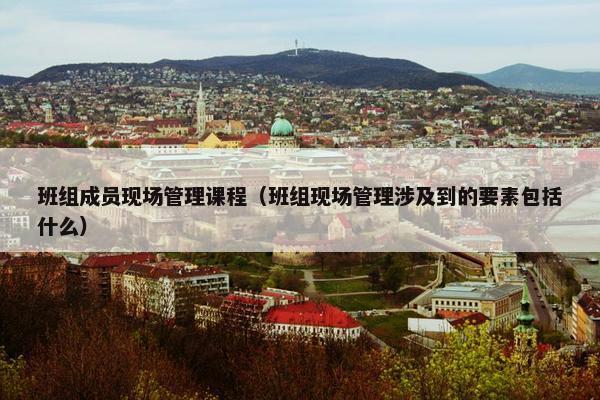 班组成员现场管理课程（班组现场管理涉及到的要素包括什么）