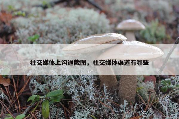 社交媒体上沟通截图，社交媒体渠道有哪些