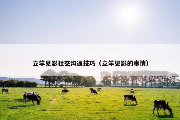 立竿见影社交沟通技巧（立竿见影的事情）
