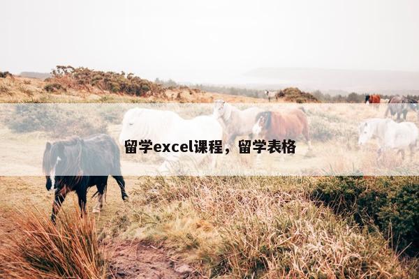 留学excel课程，留学表格