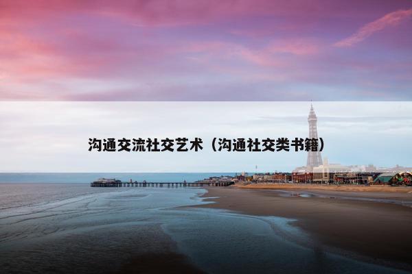 沟通交流社交艺术（沟通社交类书籍）