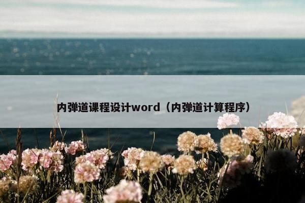 内弹道课程设计word（内弹道计算程序）