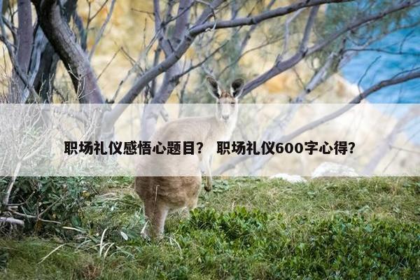 职场礼仪感悟心题目？ 职场礼仪600字心得？