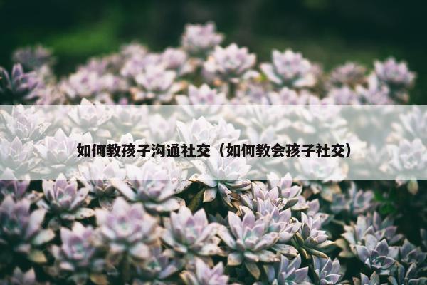如何教孩子沟通社交（如何教会孩子社交）