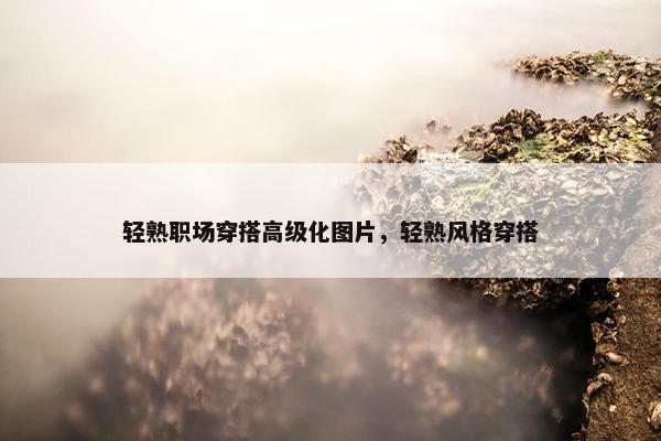 轻熟职场穿搭高级化图片，轻熟风格穿搭