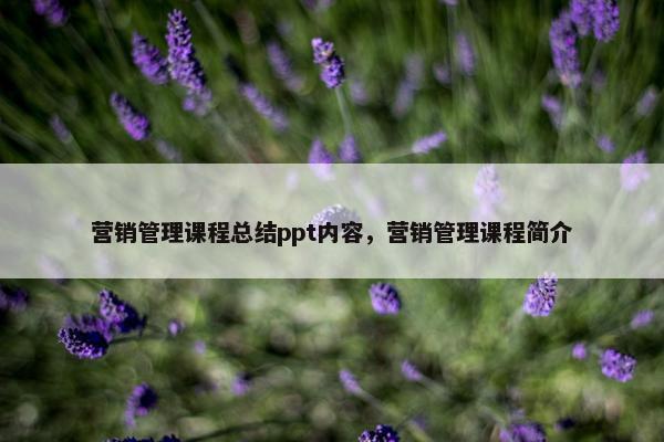 营销管理课程总结ppt内容，营销管理课程简介