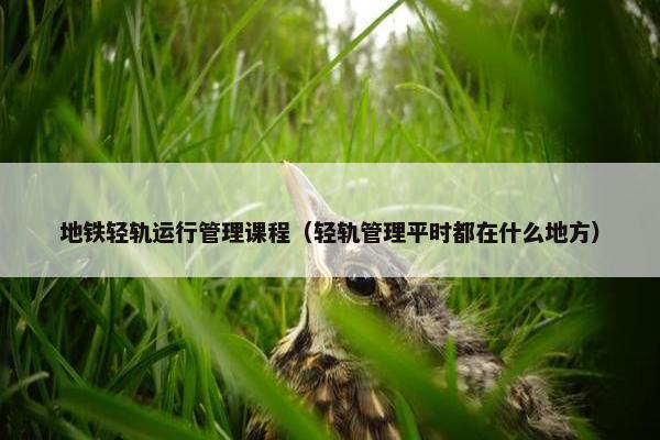 地铁轻轨运行管理课程（轻轨管理平时都在什么地方）