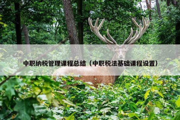 中职纳税管理课程总结（中职税法基础课程设置）